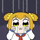 牛牛特供版