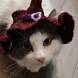 Piutahayo