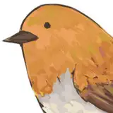 駒鳥