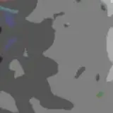 ヤセイノノリ