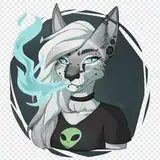 Captaincasper