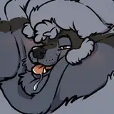 CollinthePoodle