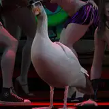 Entitled Goose