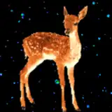 Jack L