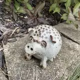 Tim Maloney