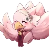 Chocori