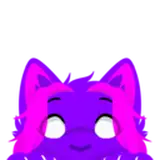 felisrandomis