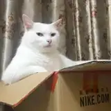 Kaken