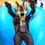 Ayce Coyote