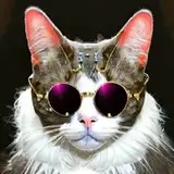 Baron Von Meowsberg