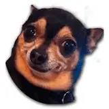 BoyToyVaM