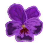 syjeivee