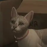 florwalsims