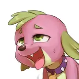 wtperv