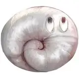 搾り課す