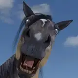 Stalliontyler42 and Trioami
