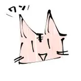 雨のち流星群