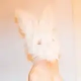 Loozy